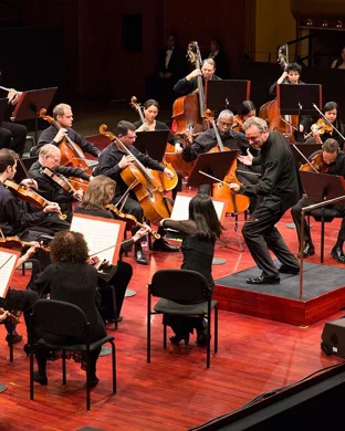 Vienna Light Orchestra Birmingham