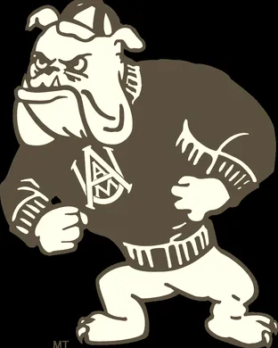 Alabama A&M Bulldogs Birmingham