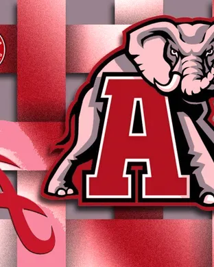 Alabama Crimson Tide Baseball Knoxville