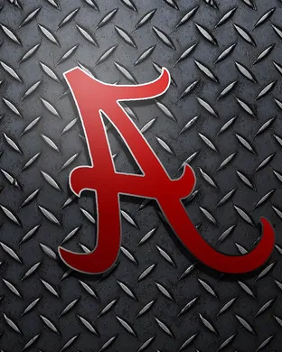 Alabama Crimson Tide Basketball Birmingham