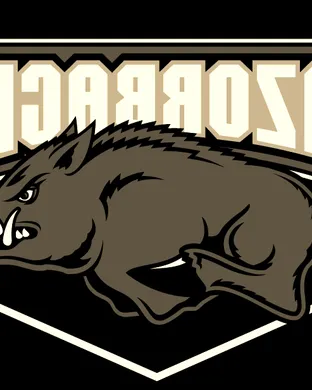 Arkansas Razorbacks Tuscaloosa