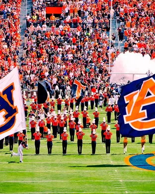 Auburn Tigers Football Auburn