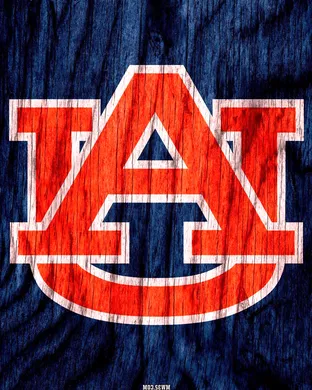 Auburn Tigers Birmingham
