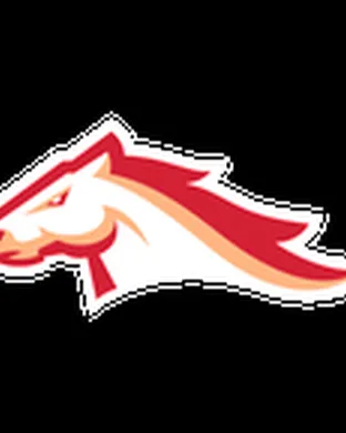 Birmingham Stallions Birmingham
