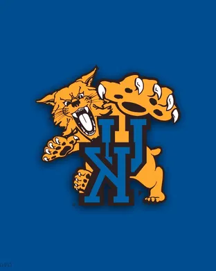 Kentucky Wildcats Football Lexington