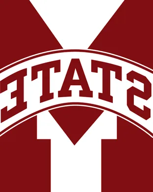 Mississippi State Bulldogs Football Mississippi State