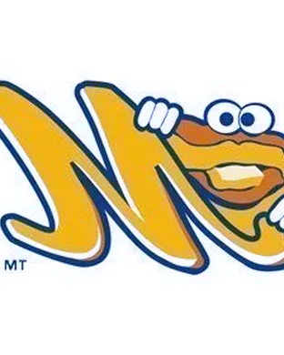 Montgomery Biscuits Birmingham