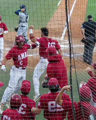 Samford Bulldogs Baseball Tallahassee