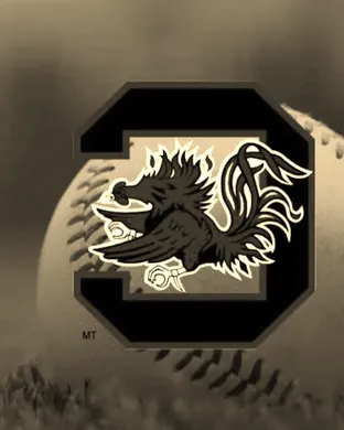 South Carolina Gamecocks Baseball Columbia