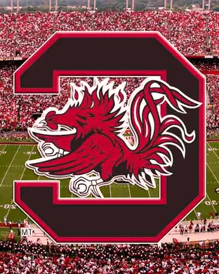 South Carolina Gamecocks Football Tuscaloosa