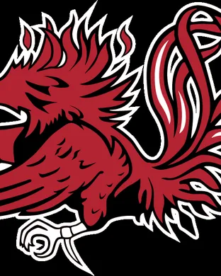South Carolina Gamecocks Tuscaloosa