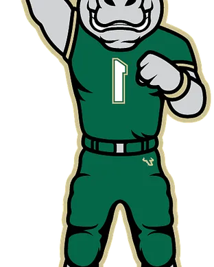 South Florida Bulls Tampa