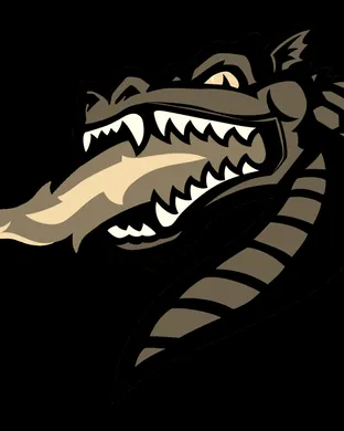 Uab Blazers Football Birmingham