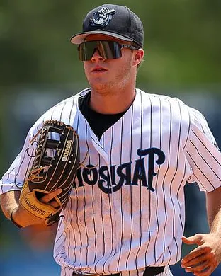 Wofford Terriers Baseball Birmingham